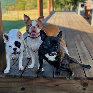 Always buy and sell in bundles!